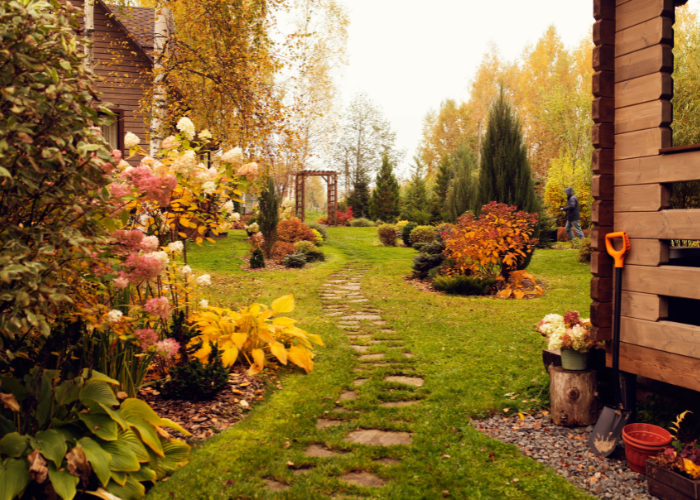 November Garden Checklist