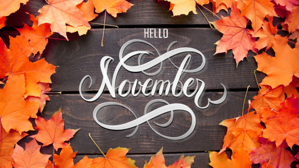 November In Your Garden