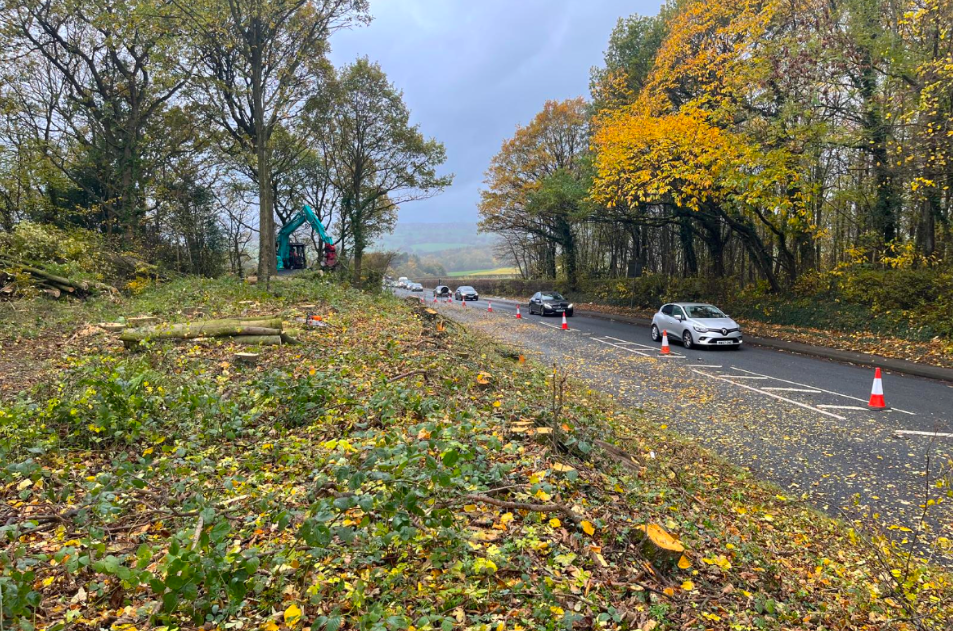 Roadside tree safety