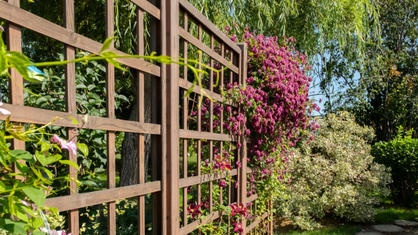 Wooden Fencing Ideas to Enhance Your Garden