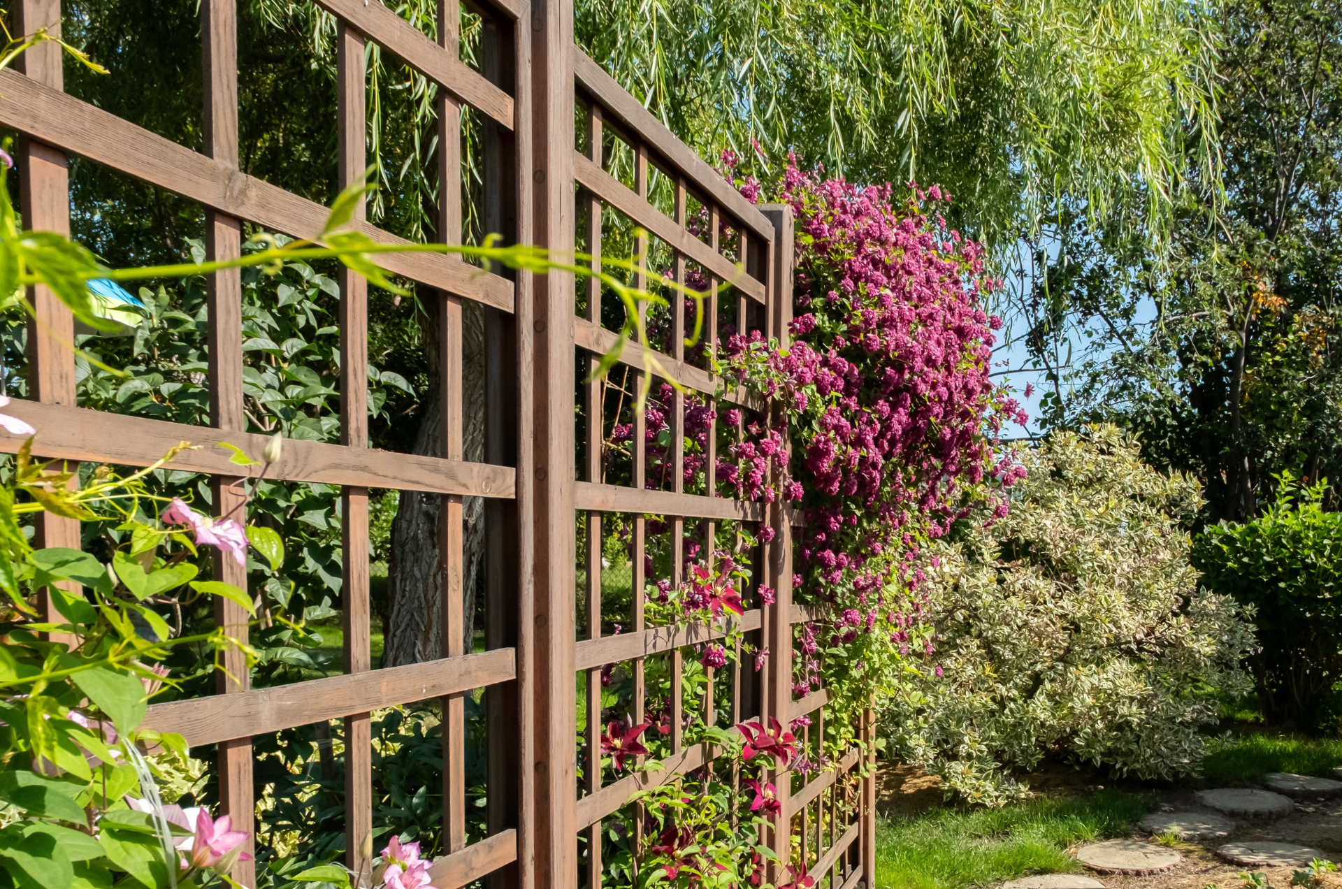 Wooden fence ideas