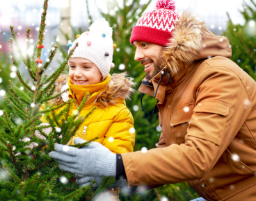 Locally Grown Christmas Trees