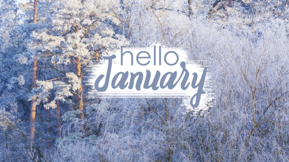 January In Your Garden