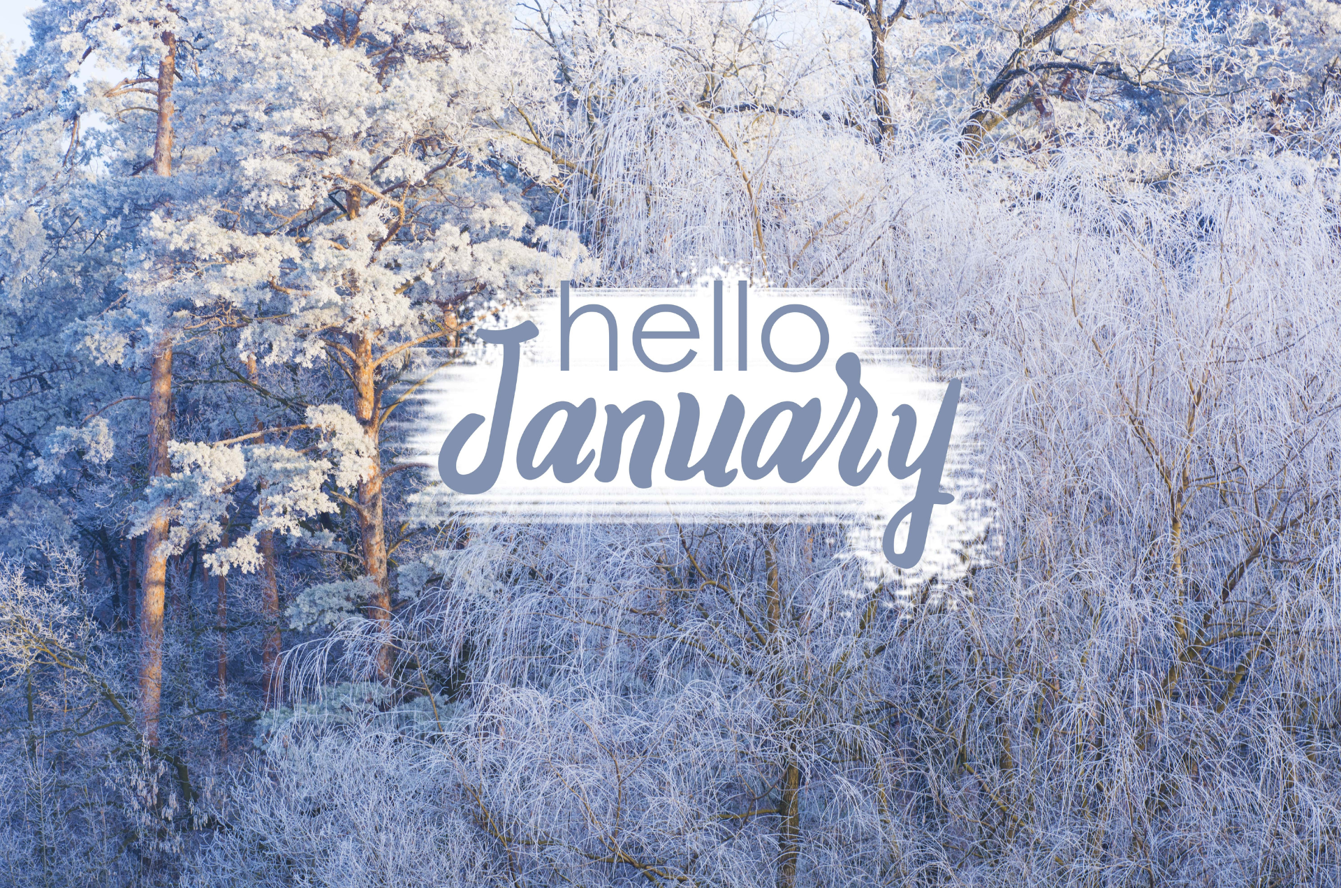 January in Your garden 2026