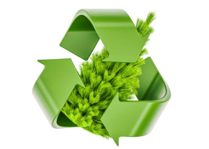 recycle your Christmas tree