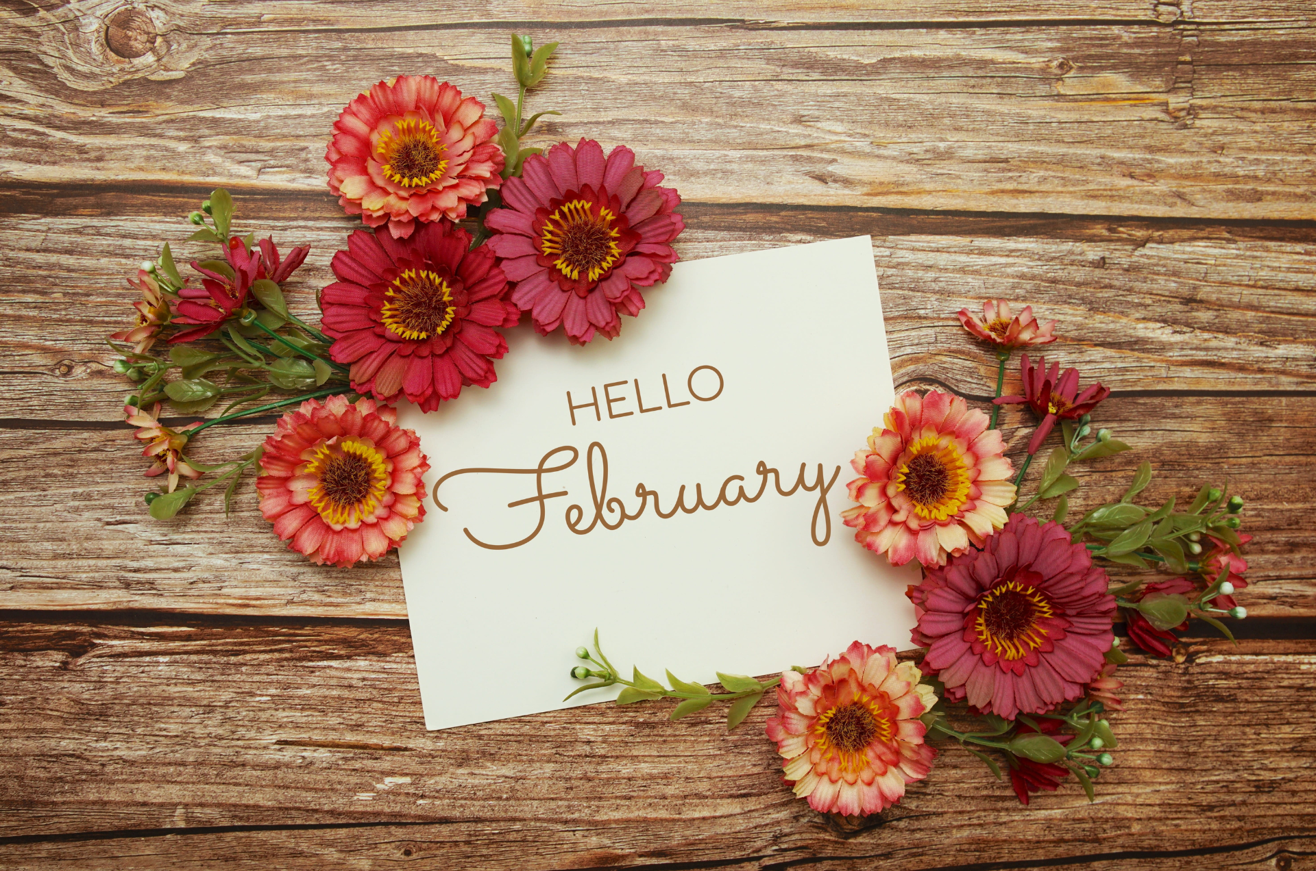 February in your garden 2026