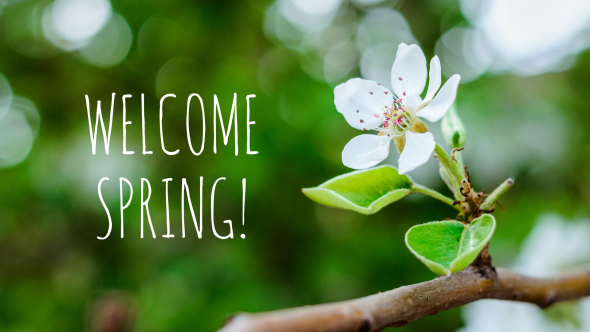 March In Your Garden