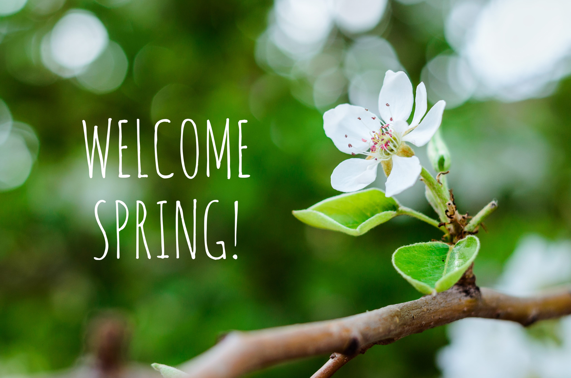 March In Your Garden 2026