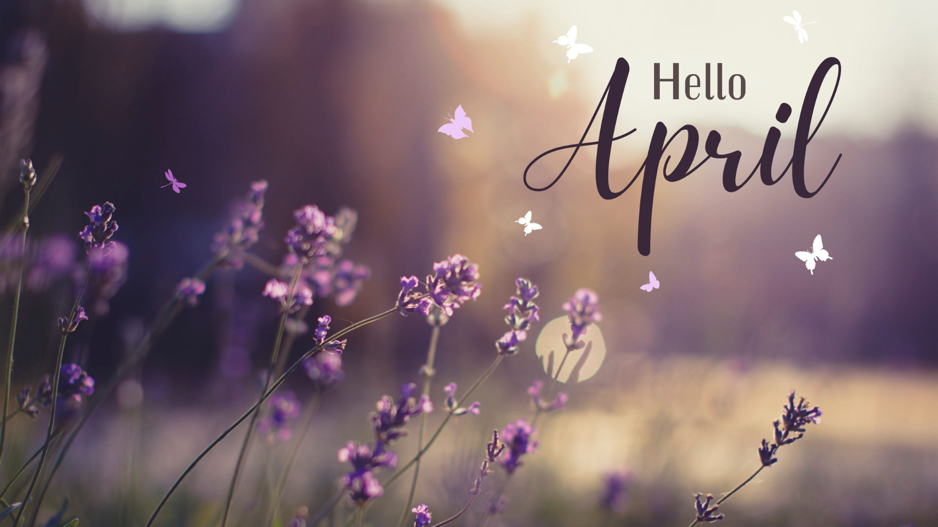 April in your garden 2026