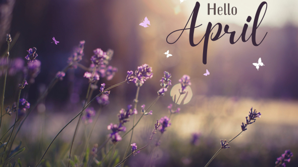 April In Your Garden