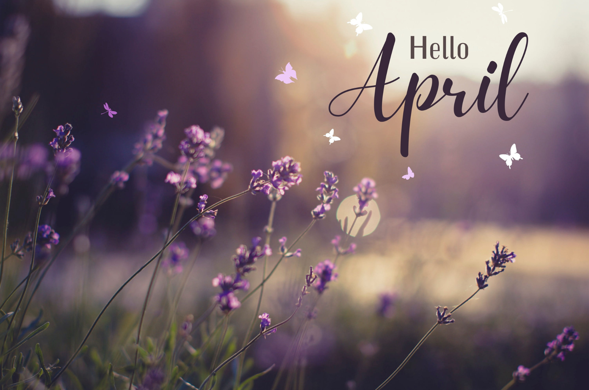 April in your garden 2026