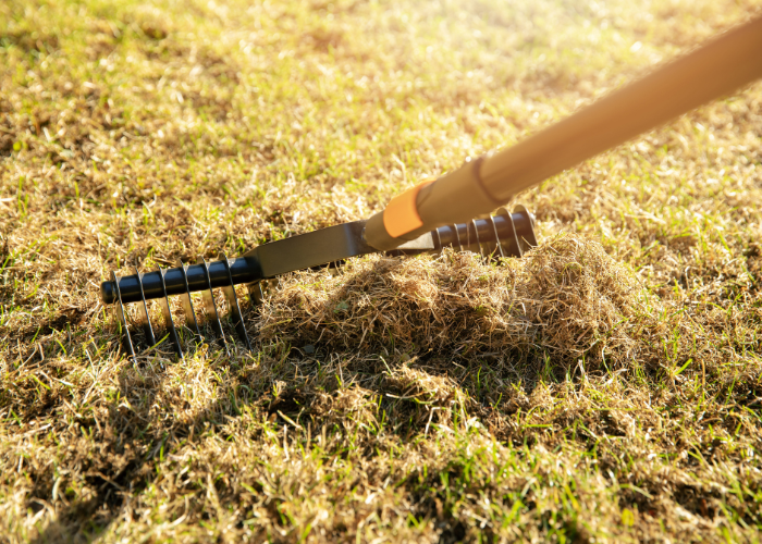 “scarifying garden