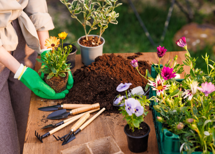 May garden checklist