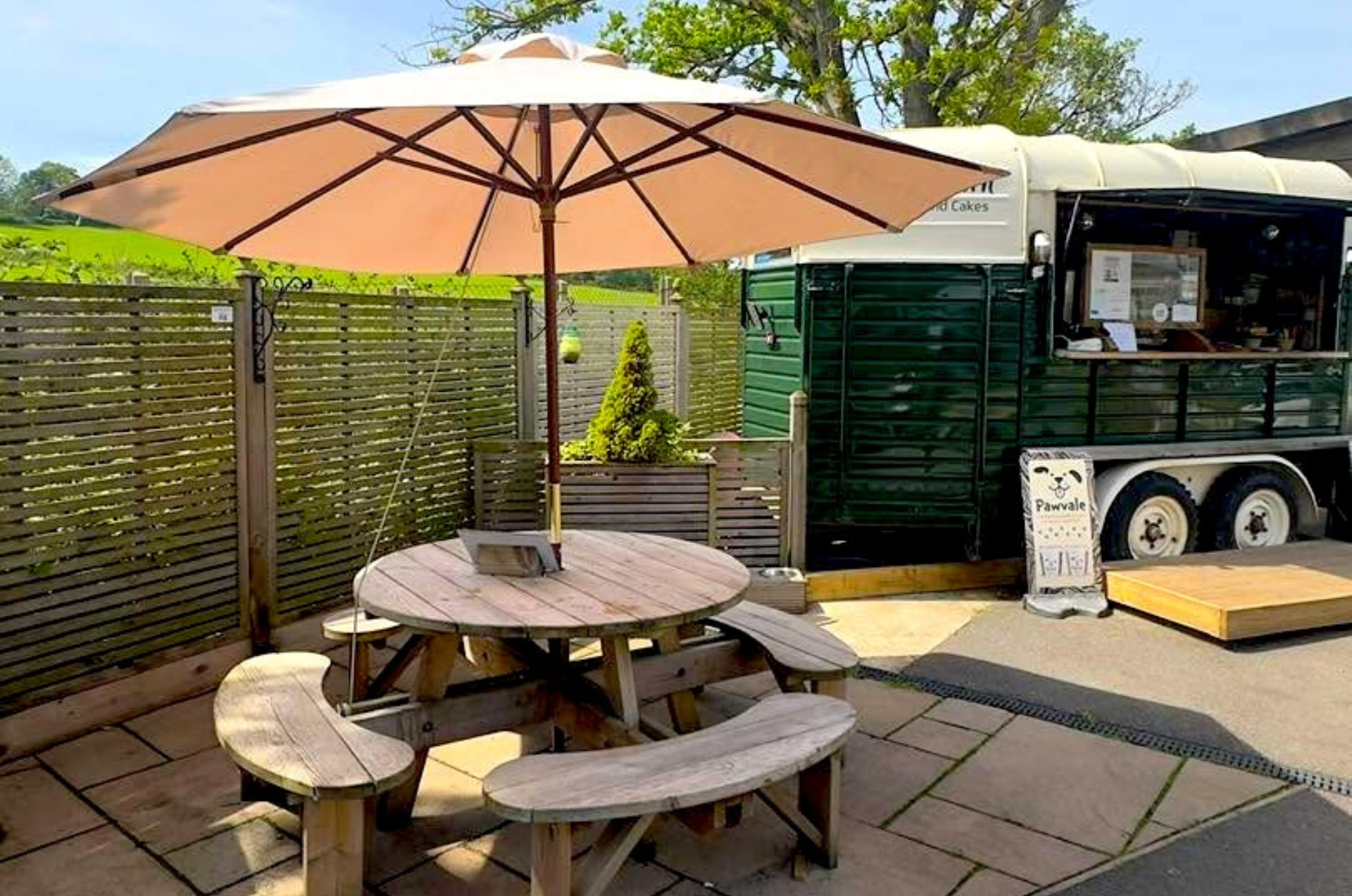 50% off parasols and bases