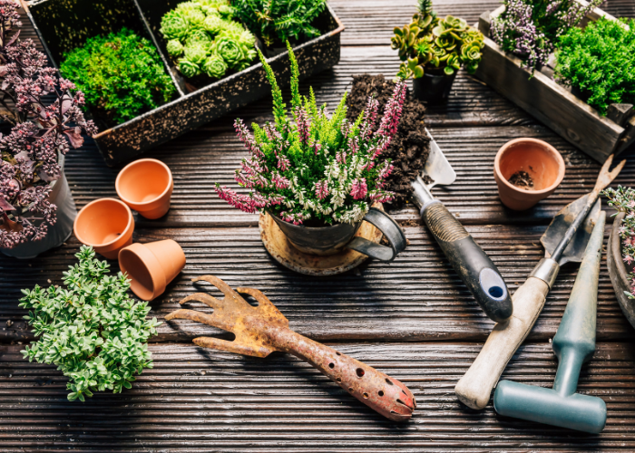 June garden Checklist 2026