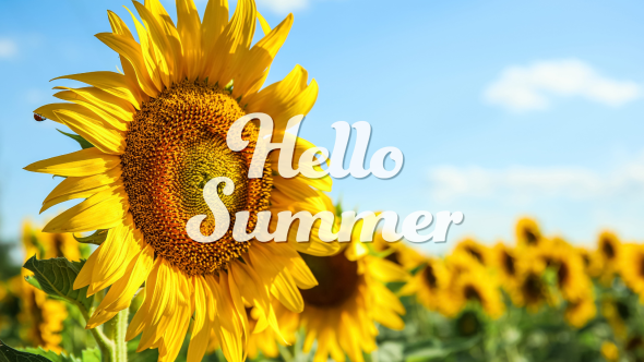 June In Your Garden