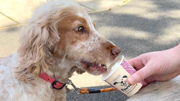 New Tail-Wagging Treats at The Little Acorn!