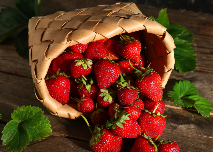 What to harvest in June 2026