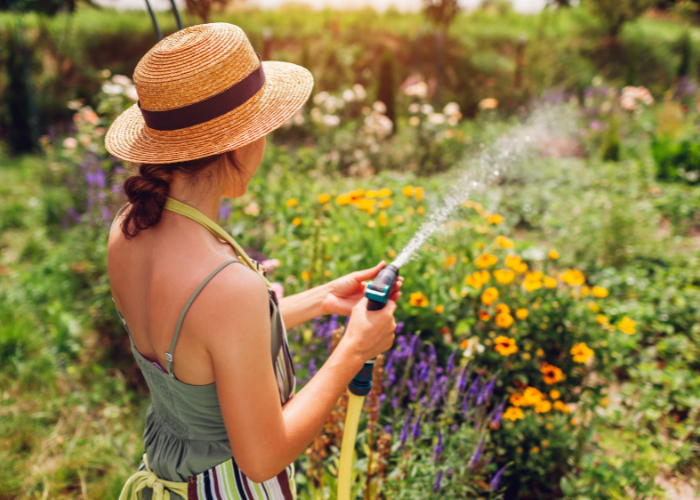 July garden Checklist 2026