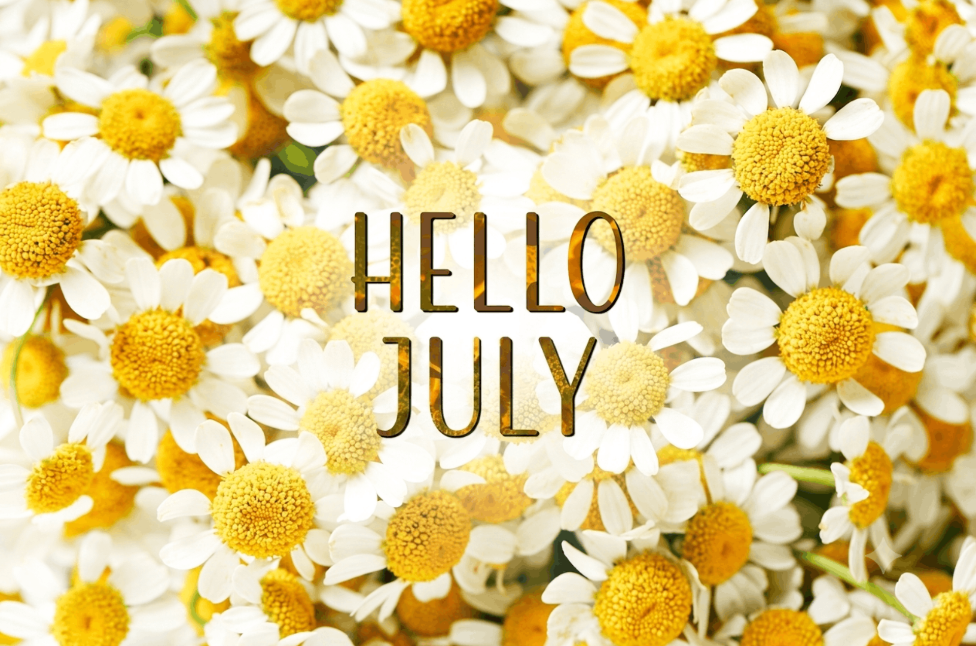July In your garden 2026
