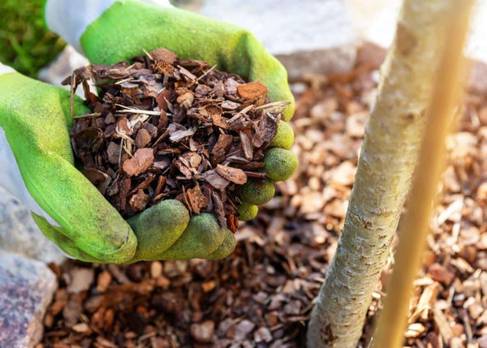 add mulch