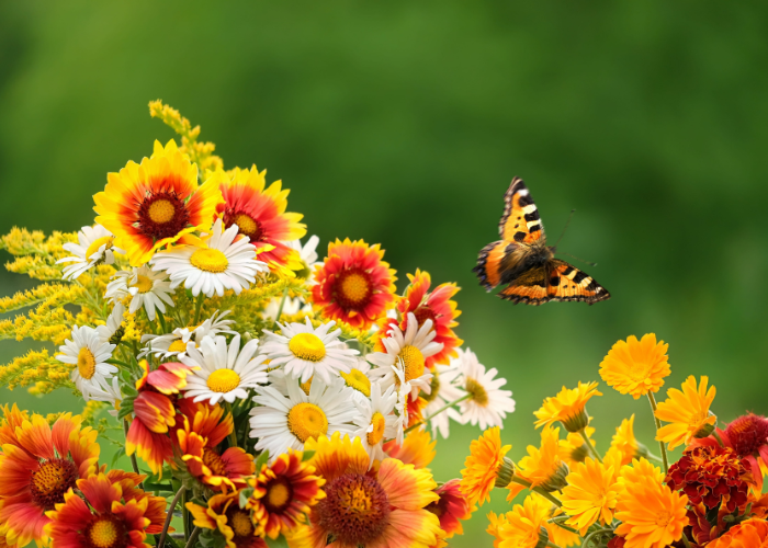 August garden Checklist 2026
