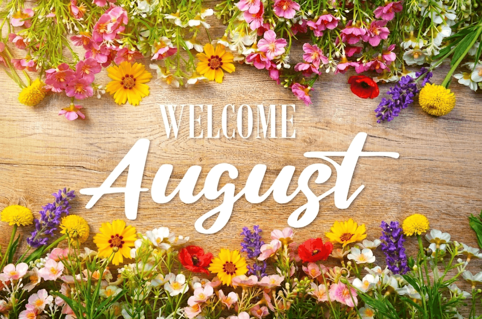 August in your garden 2026