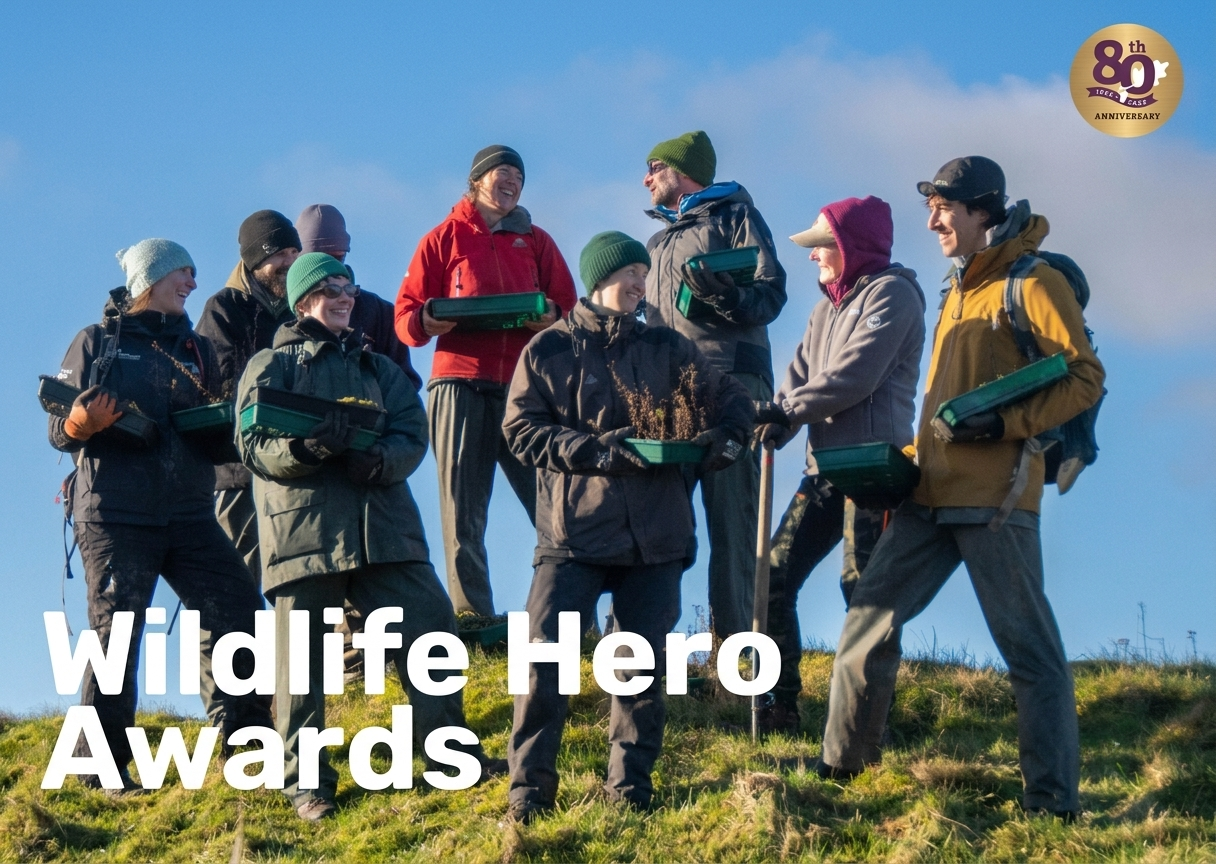 yorkshire wildlife heroes