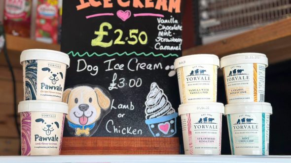 PAWVALE ICE CREAM FOR DOGS