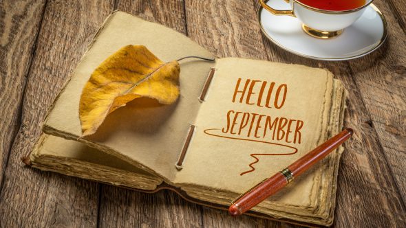September In Your Garden