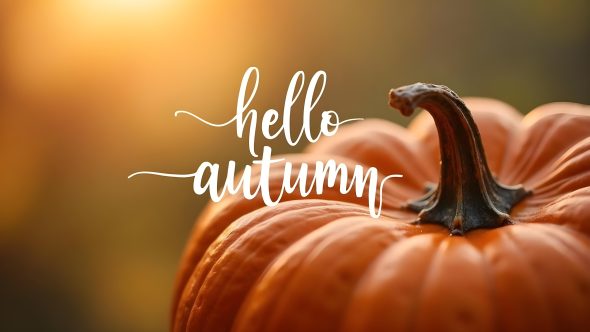 October In Your Garden