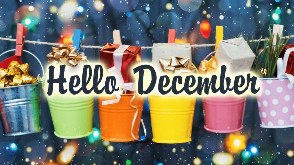 December In Your Garden