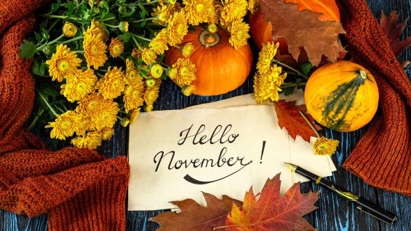 November In Your Garden